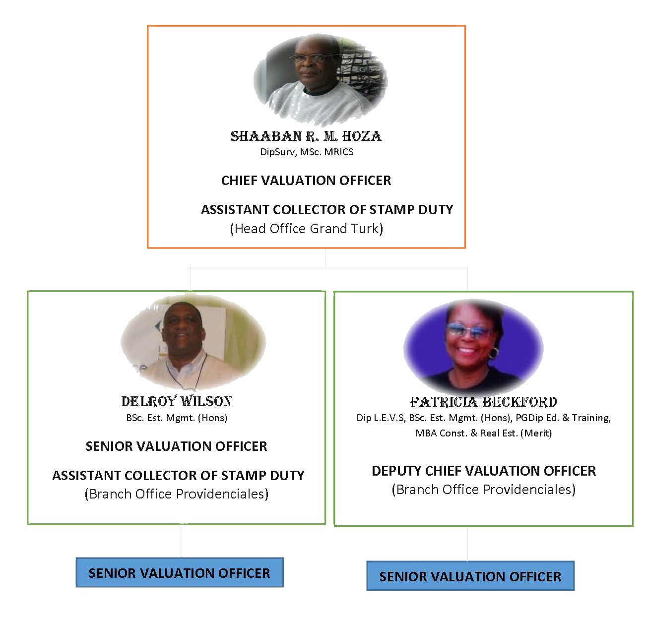 Lands Valuation Department Structure